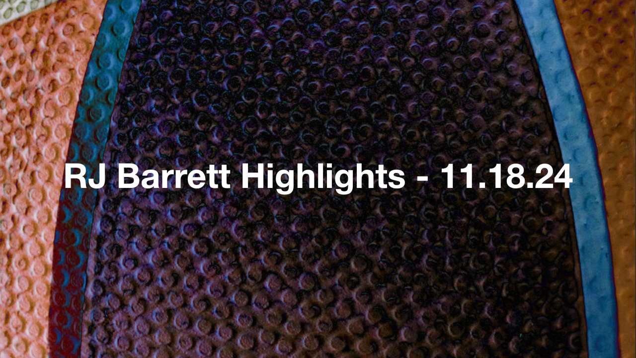 RJ Barrett Highlights - 11.18.24