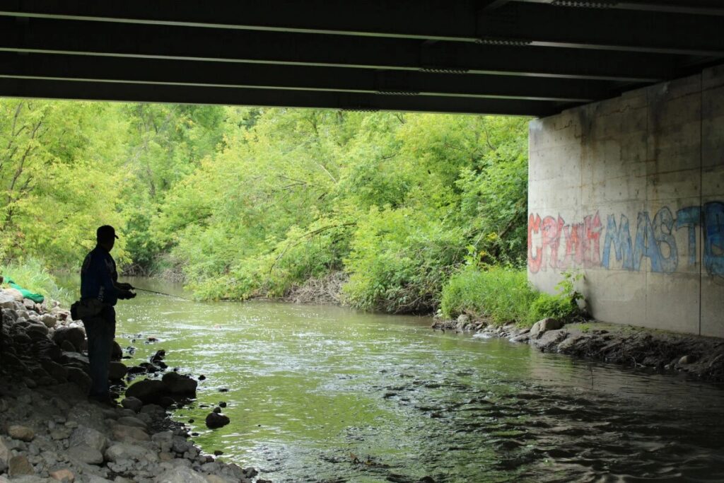 Photograph of a person fishing in a river running beneath an underpass. Image sourced from the Toronto Star, 2016.