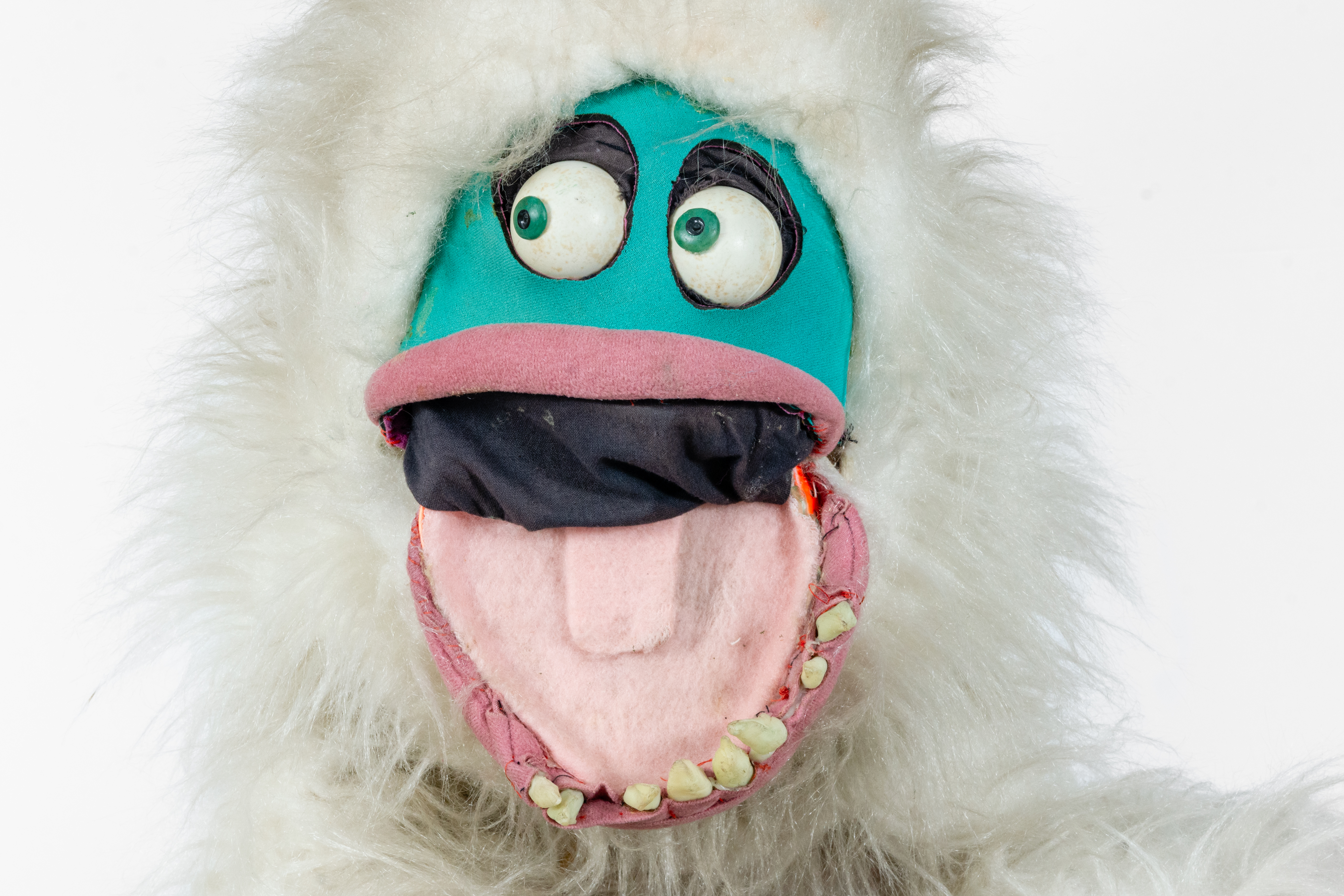 Jasper - Grog Puppets Collections of Jason Hopley and Jamie Shannon Created by Jason Hopley and Jamie Shannon in the early 1990s, The Grogs were a quirky troupe of puppets that appeared daily on YTV alongside Program Jockeys as live on-air hosts. After a 24-hour “hostile takeover” of the channel – led by Warren Chester Grog on New Year's Day 1994 – The Grogs would never be seen on YTV again.
